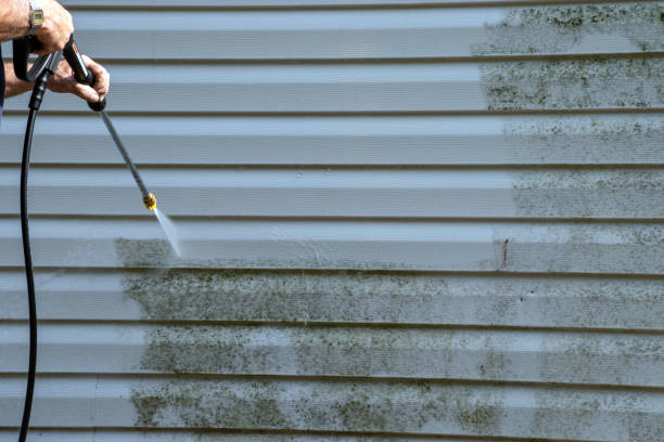 Best Weatherproofing and Sealing  in Emigration Canyon, UT