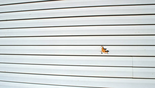 Best Residential Vinyl Siding Installation  in Emigration Canyon, UT