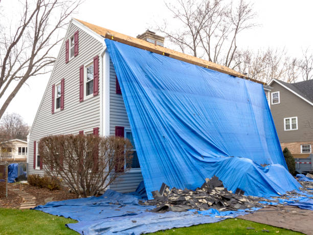 Best Engineered Wood Siding  in Emigration Canyon, UT